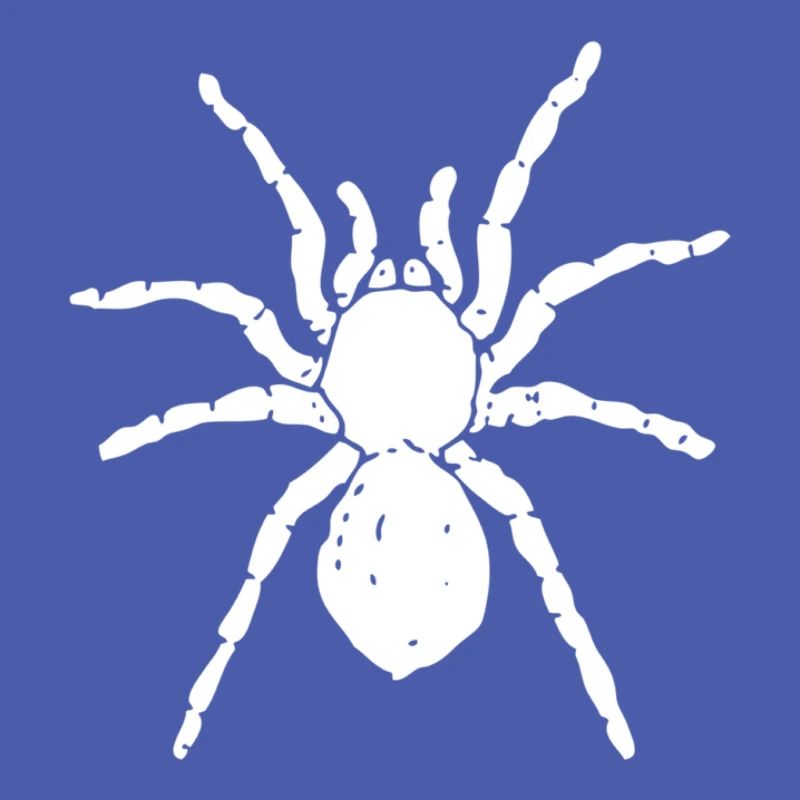 spider