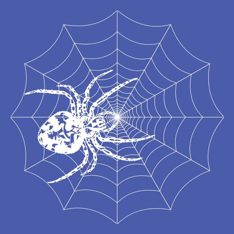spider