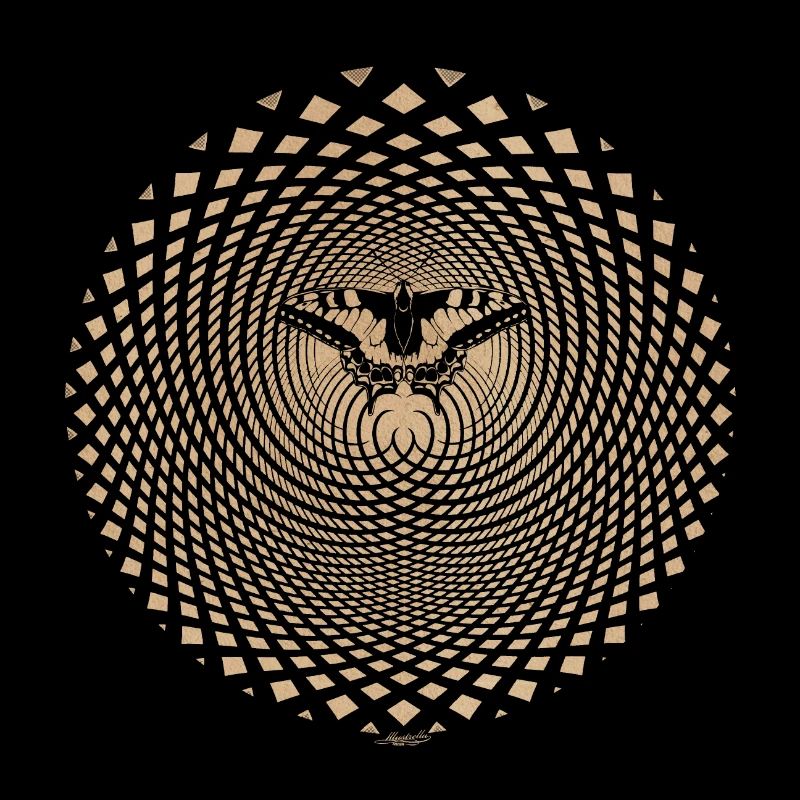 Butterfly Butterfly Effect Optical Illusion