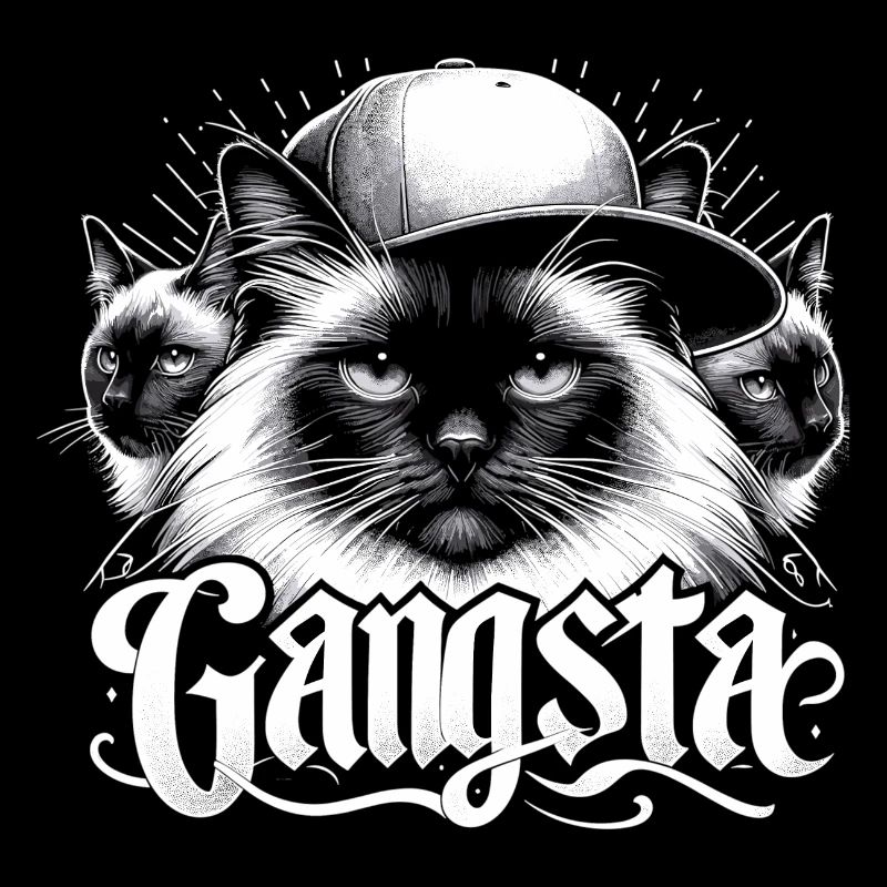 Chat Sacré de Birmanie Chat de Birmanie Trio Gangsta Gesche