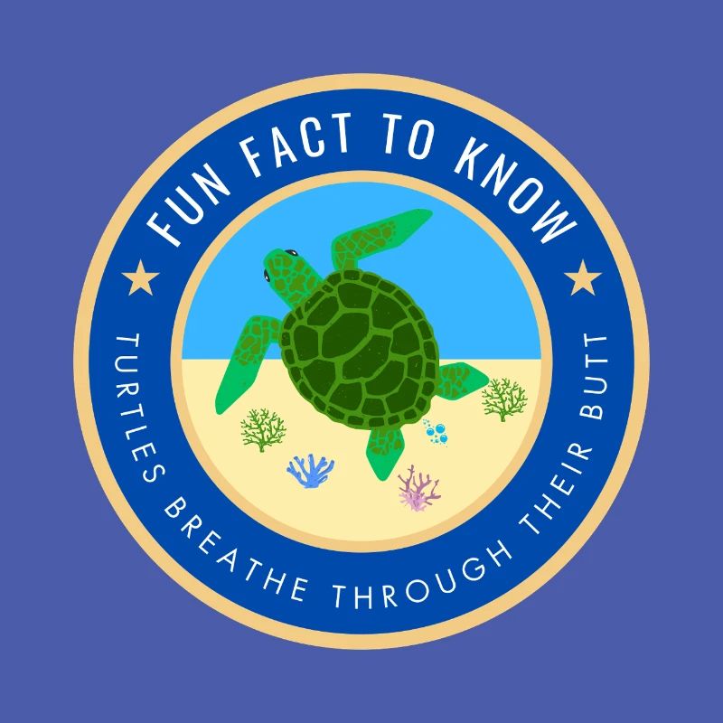 Fun Fact about Turtles