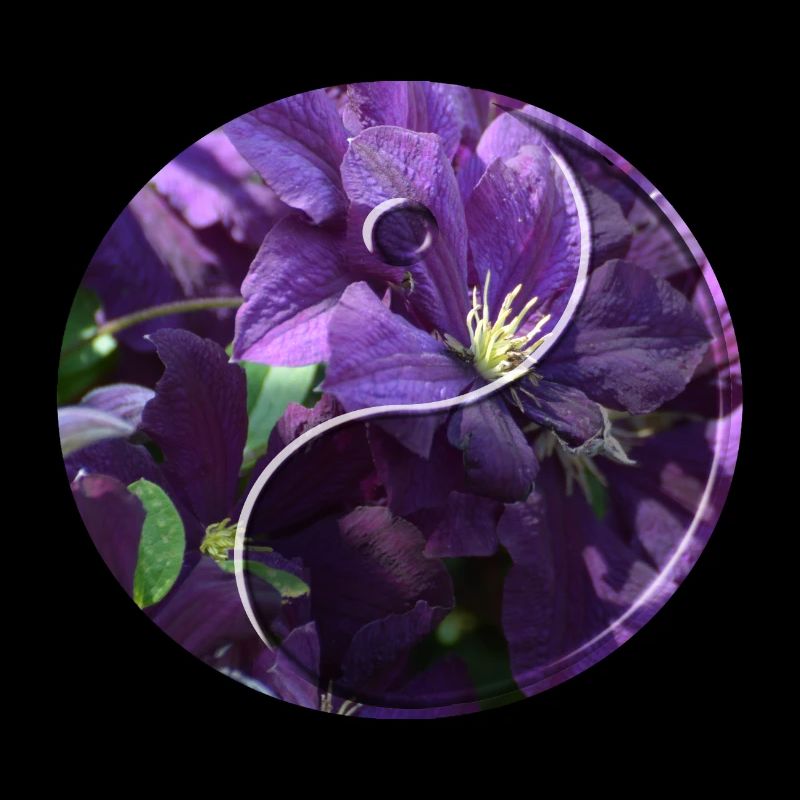 Fleurs yin yang