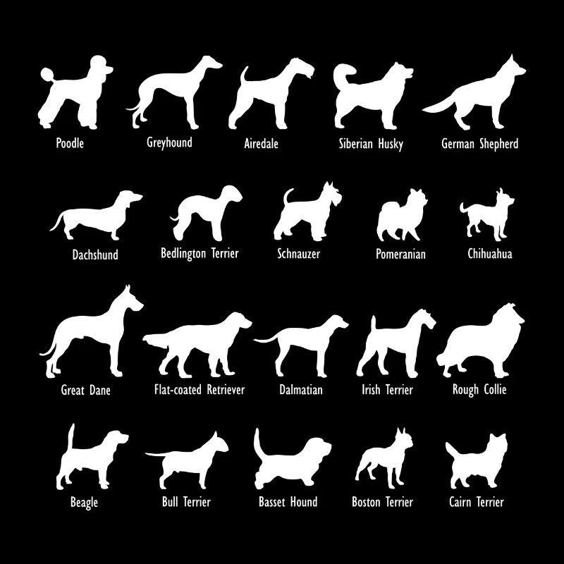 Noms de races de chiens