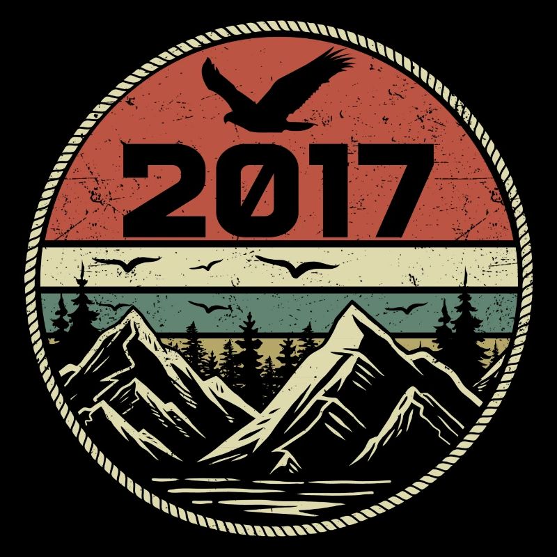 Vintage 2017 Classique 2017 rétro 2017 Cadeau 2017