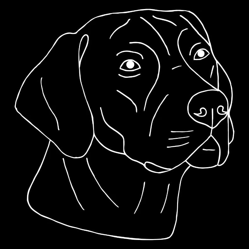 Rhodesian Ridgeback