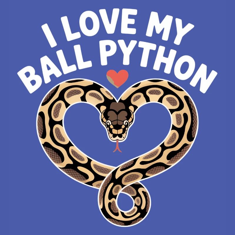J’adore mon python royal ! Roi python