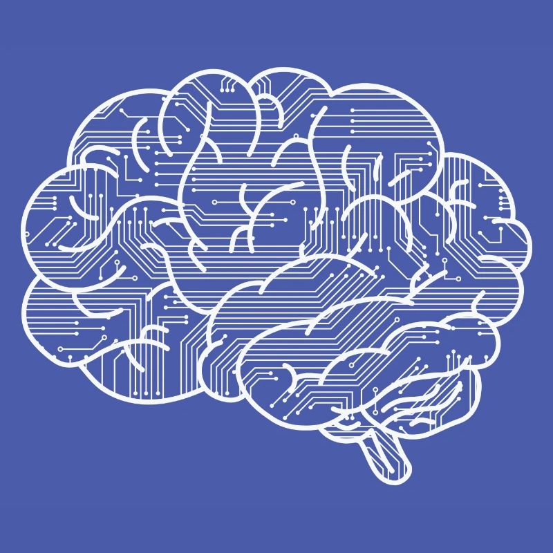 Programmer Brain funny coding for woman men