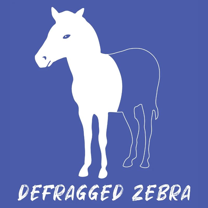 Defragged Zebra Admin Geek Programmierer Geschenk
