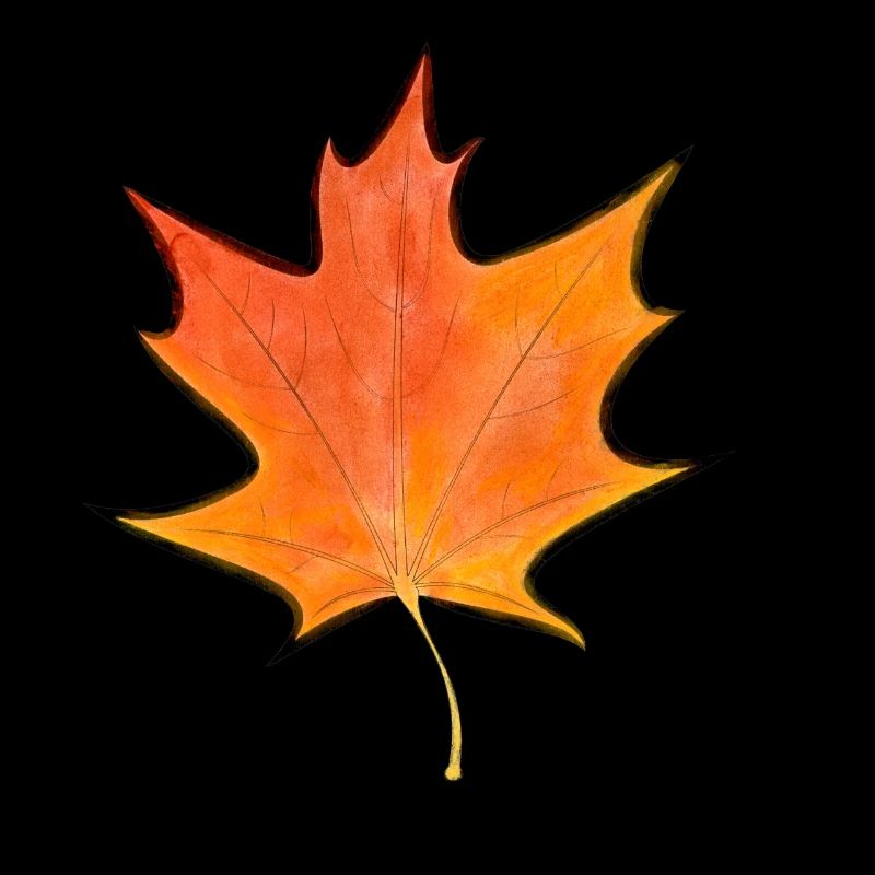Maple leaf