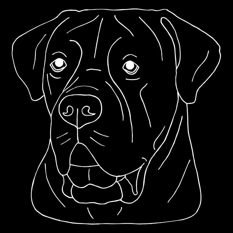 Cane Corso