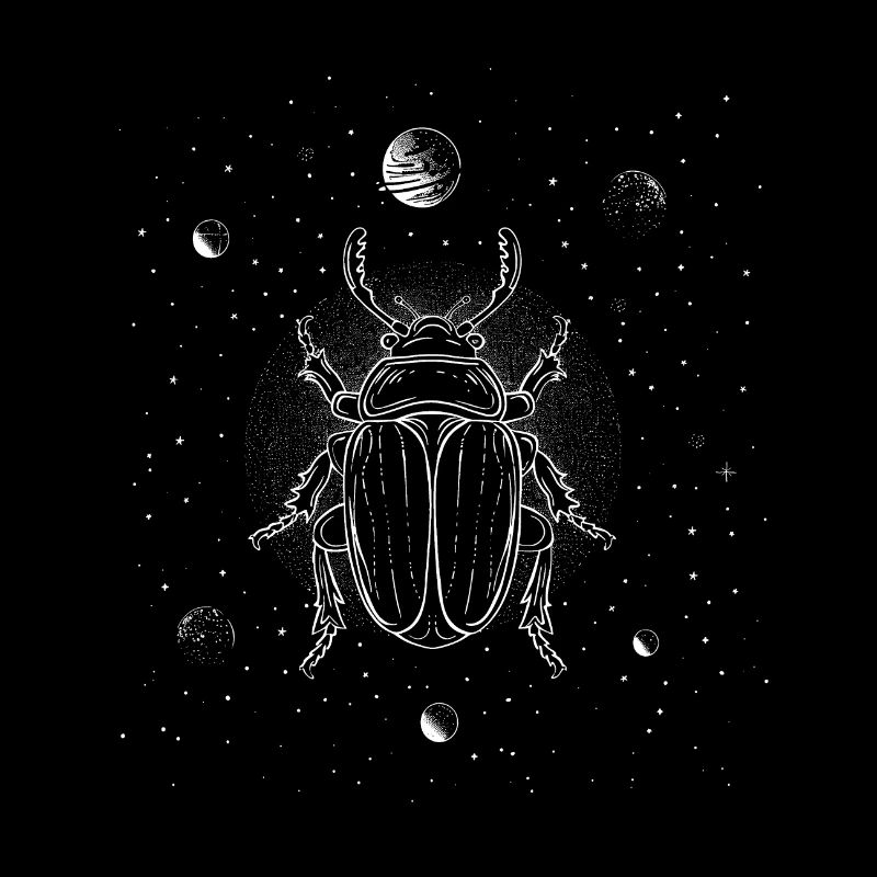 Coccinelle dans l’espace - Graphiques de lignes minimalistes
