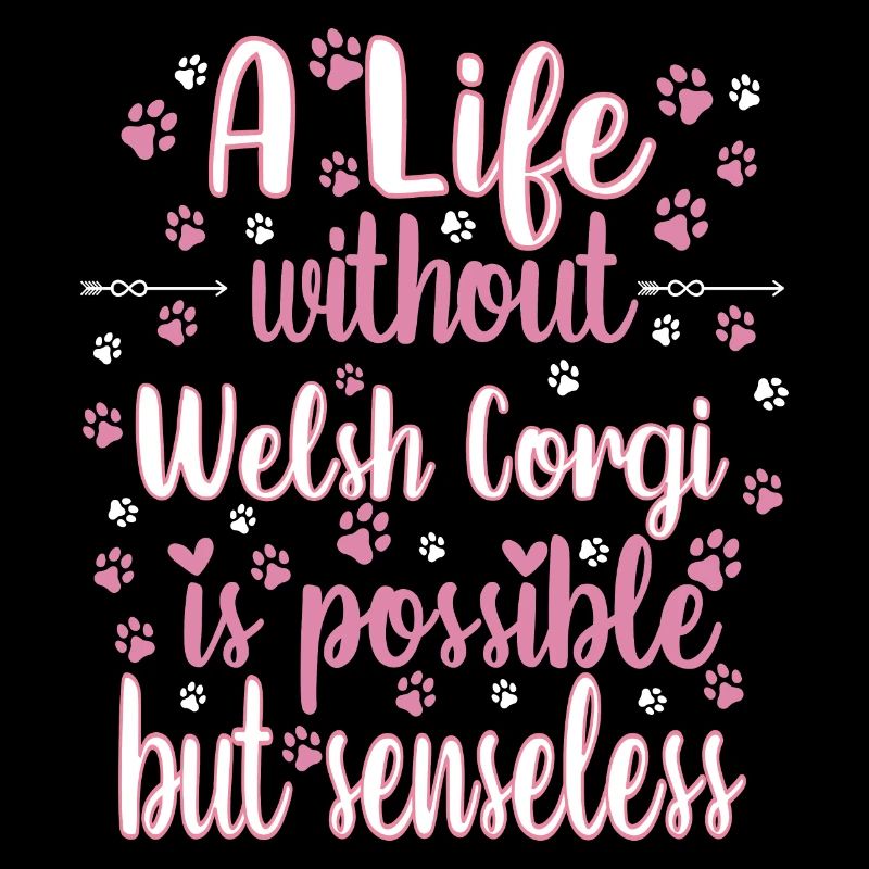 Leben Liebe Hunderasse Welsh Corgi Hund