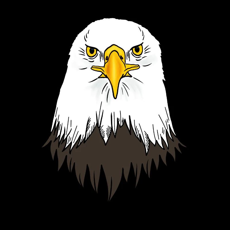 Bald Eagle Head