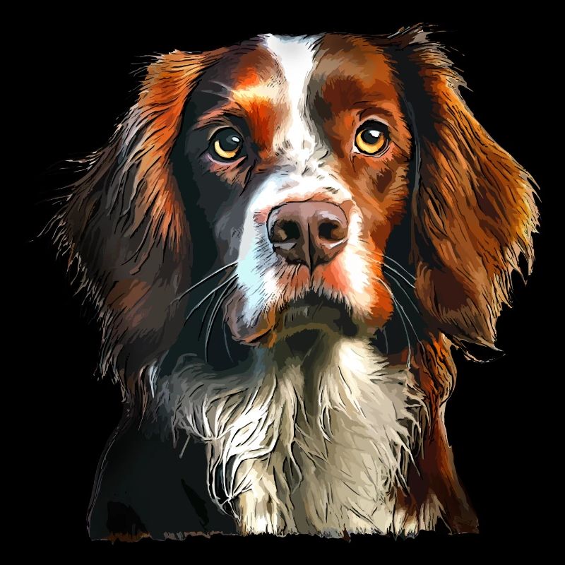 Bretagnischer Spaniel