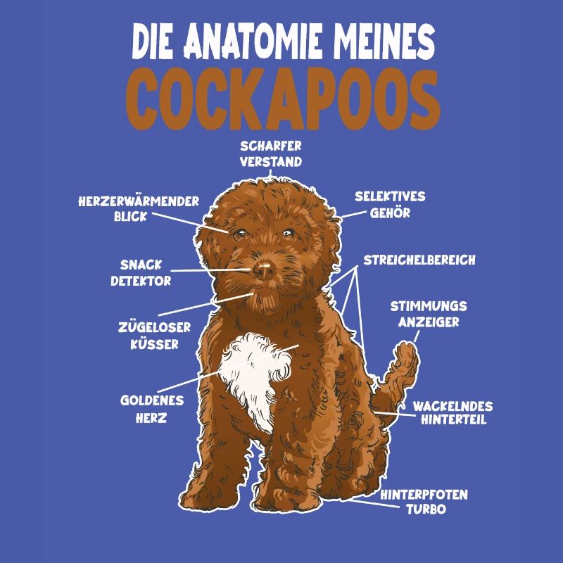 Cockapoo Anatomie witziges Hundehalter Hunde