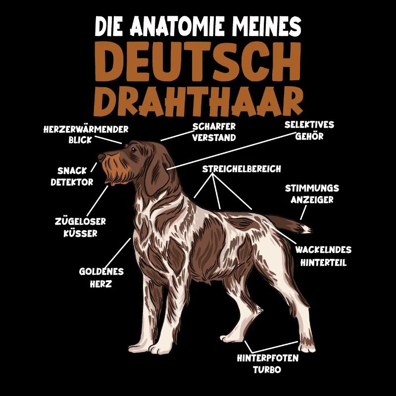 Deutsch Drahthaar Anatomie lustiges Hundehalter