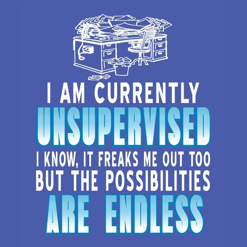 I Am Currently Unsupervised Funny Work At Home