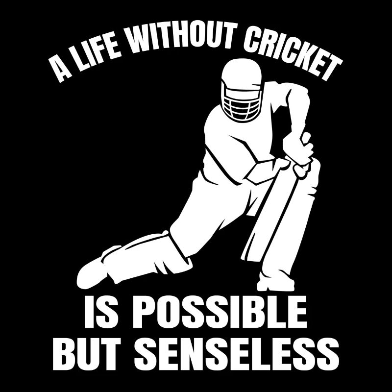 Équipe de cricket Équipe de cricket