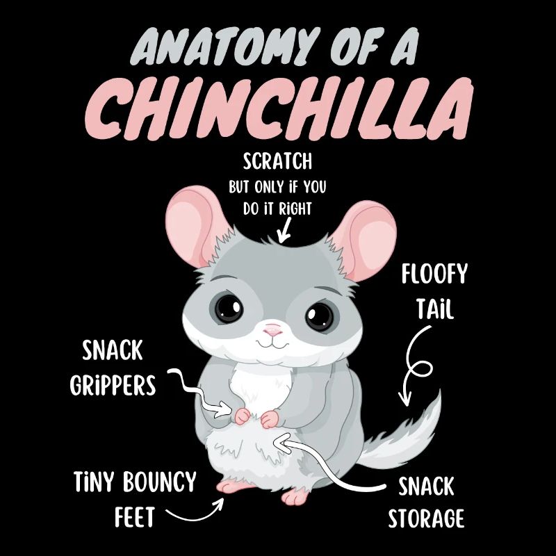 Anatomie einer Chinchilla