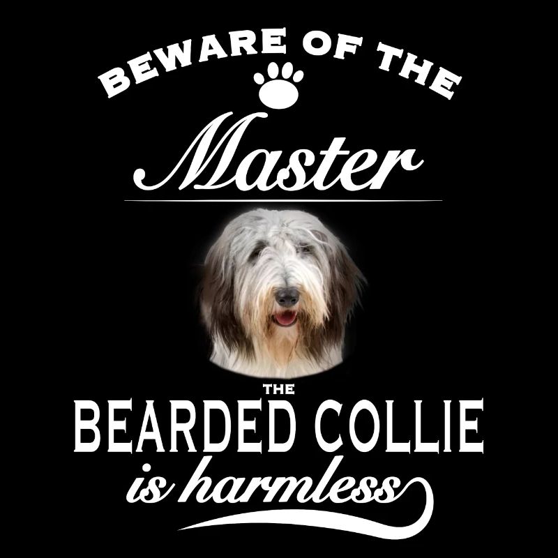 Beware of the master, harmless Bearded Collie