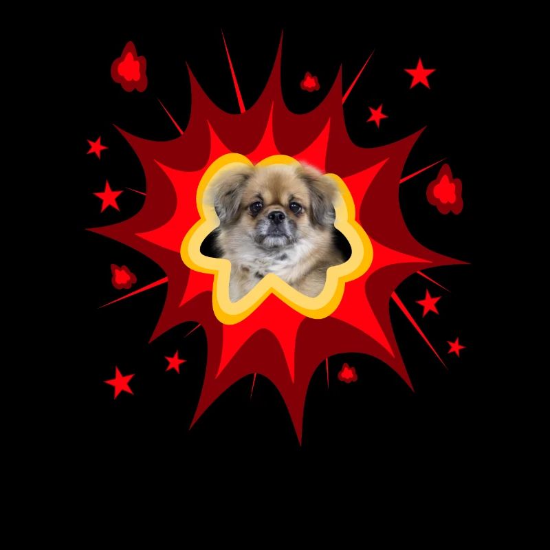 Comic Dog Design - Pow - Épagneul Tibétain