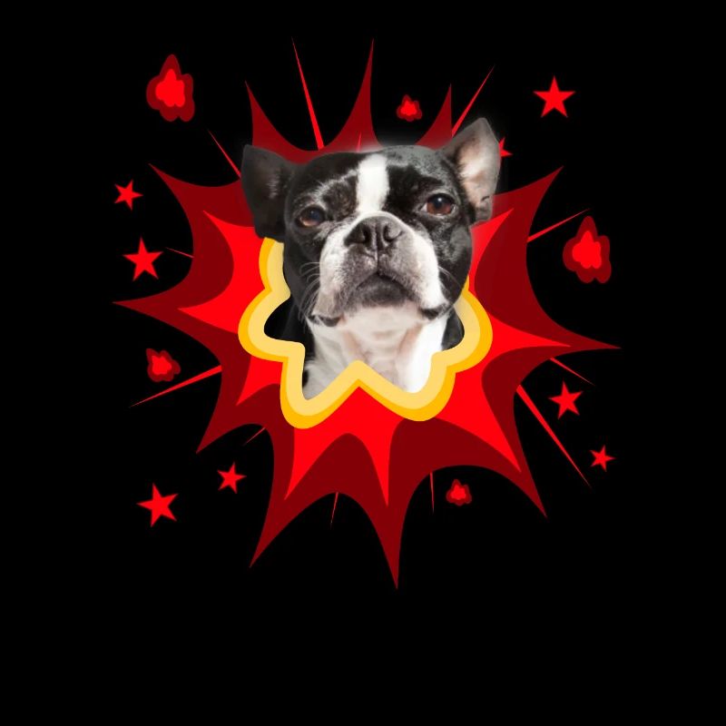 Comic Hund Design - Pow - Boston Terrier