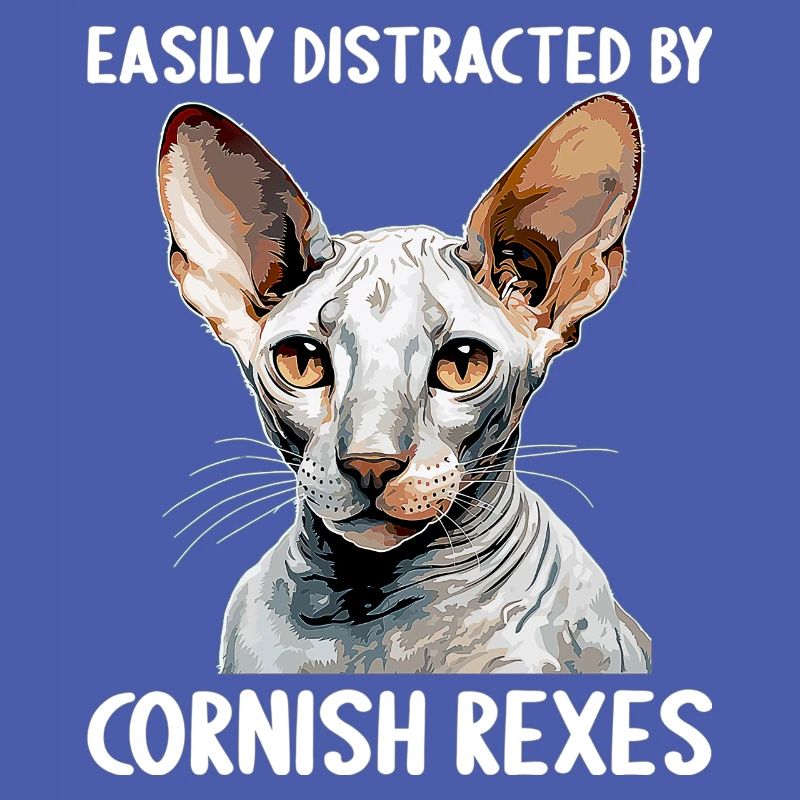 Cornish Rex Easily distracted by Cornish Rexes