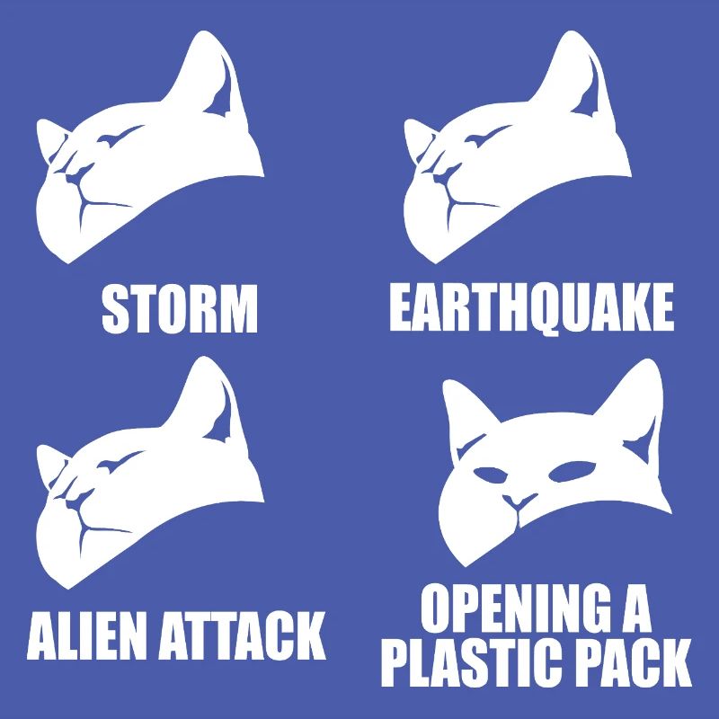 Cat - selective perception - saying