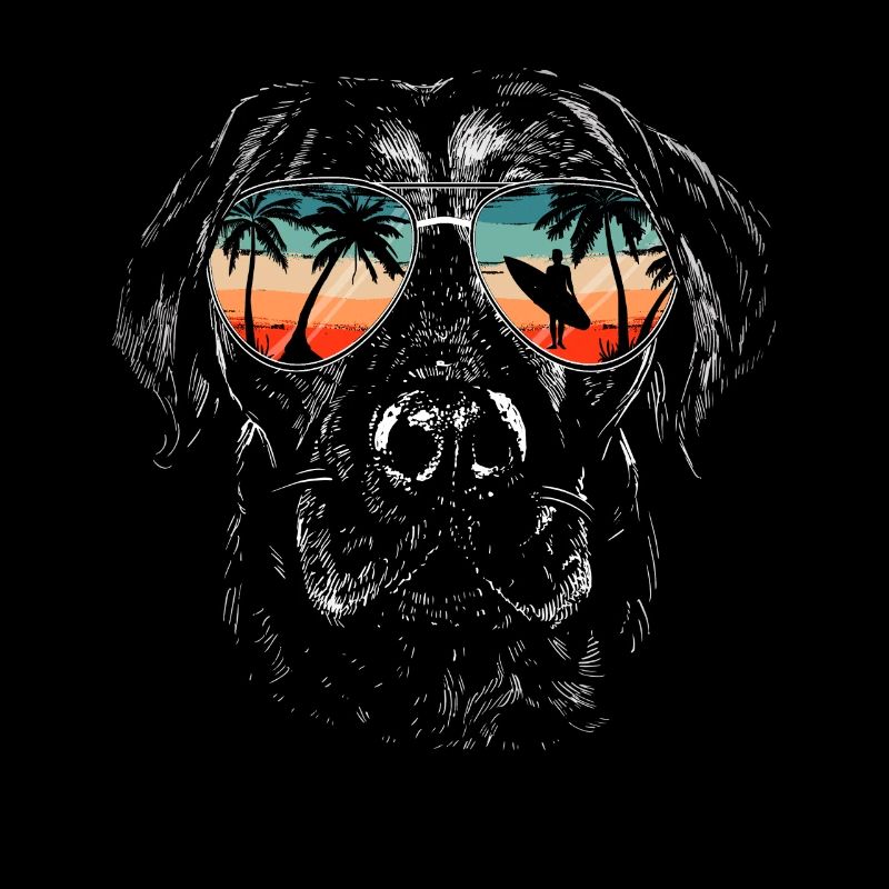 Labrador Hund
