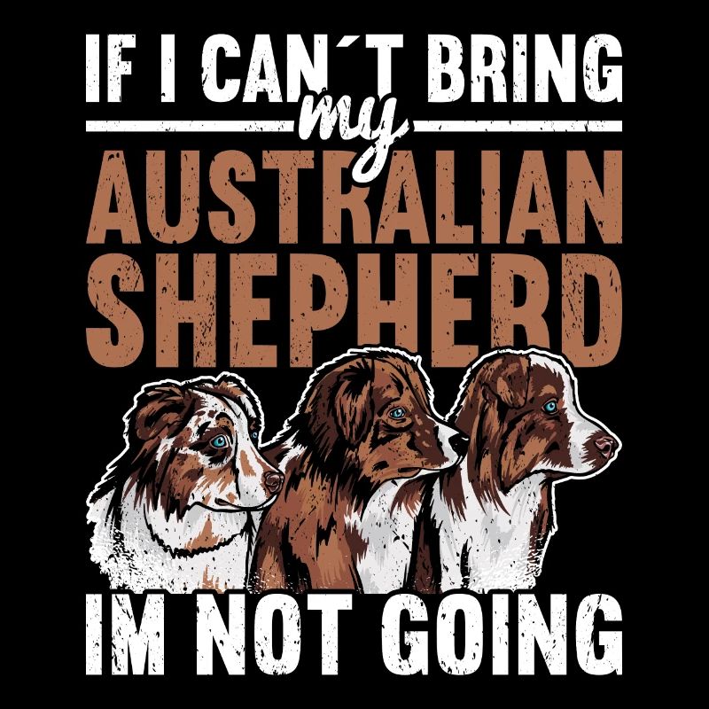 Australian Shepherd