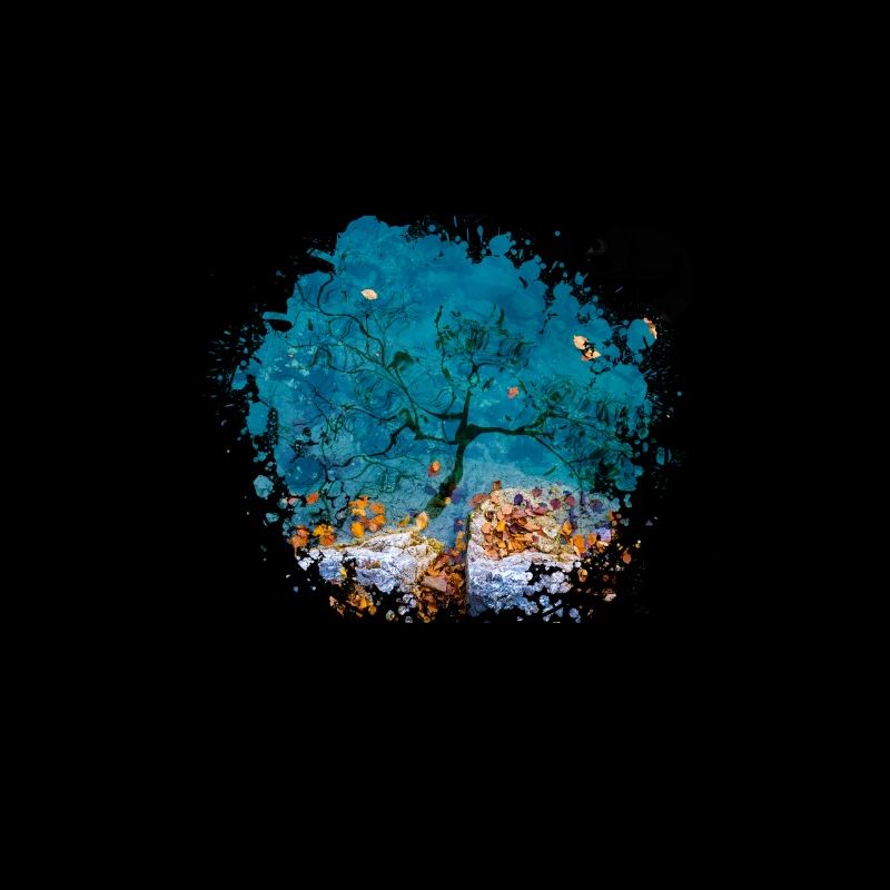 Compass with tree reflection - photo version