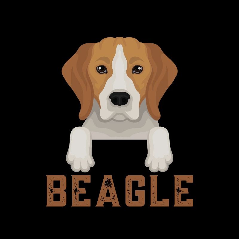 Beagle 8
