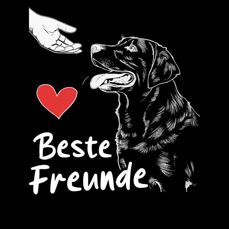 Labrador Hund Hunde