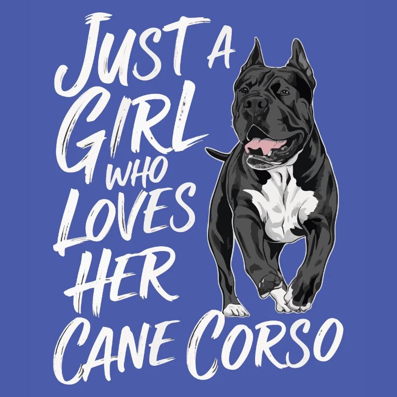 Cane Corso Hund
