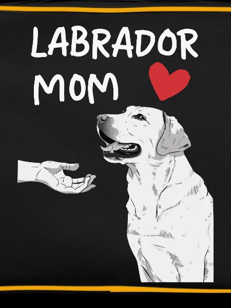 Labrador Dog