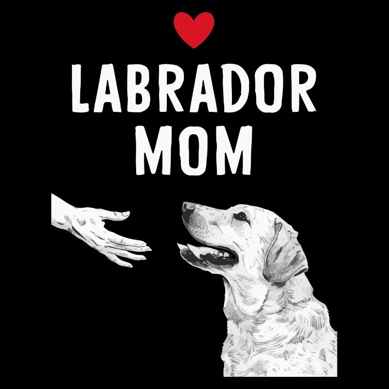 Labrador Hund