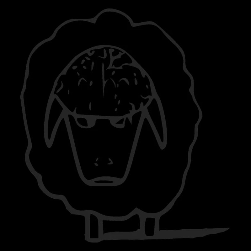 Hako the grumpy sheep