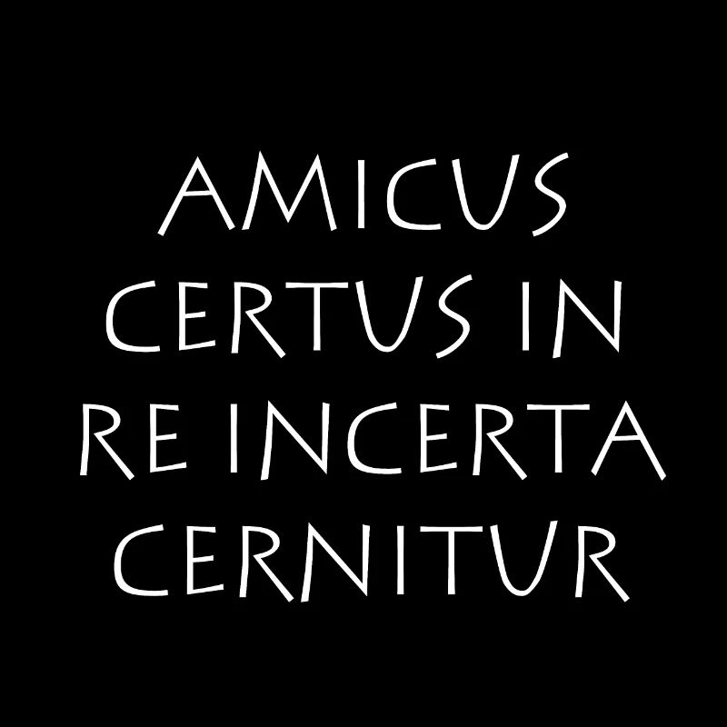 Amicus certus in re incerta cernitur
