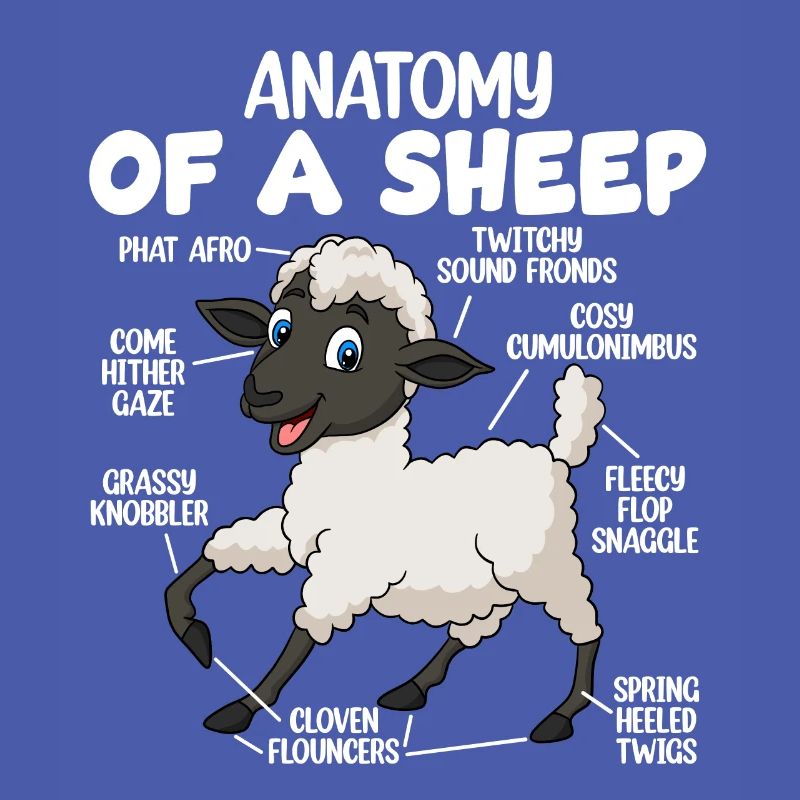 Anatomie d’un mouton