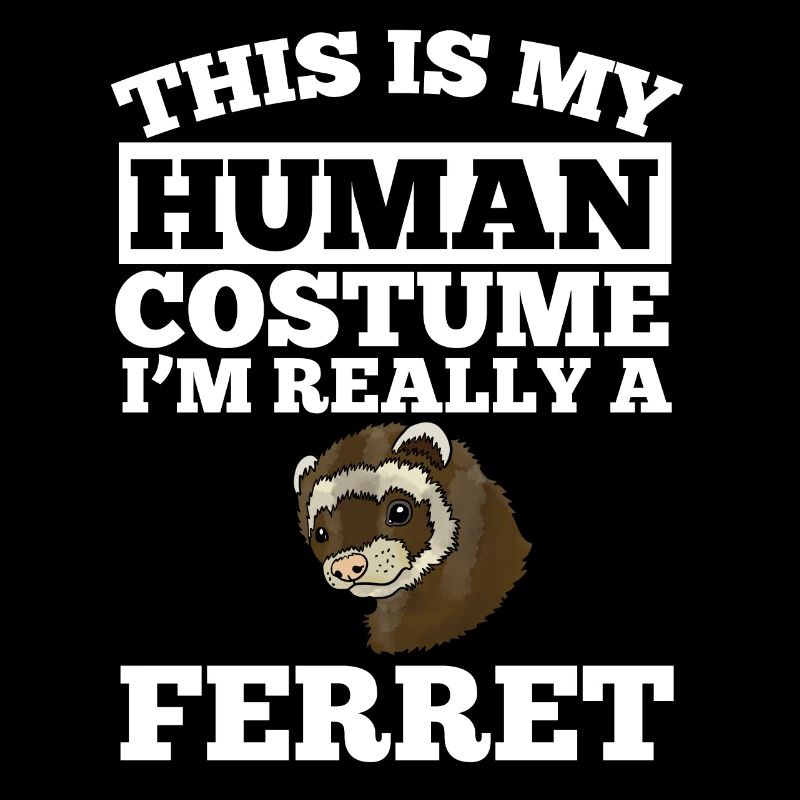 Ferret