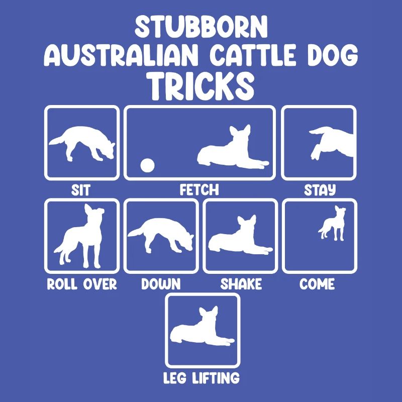 Bouvier australien