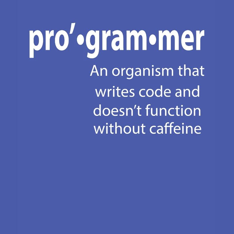 Programmeur - Coder - Hacker - IT