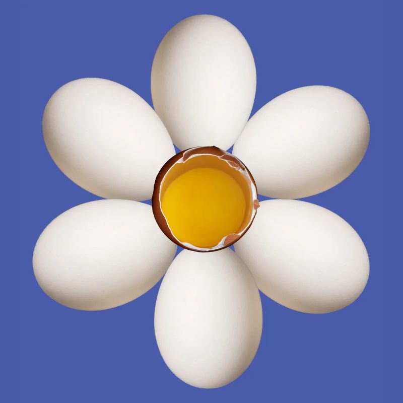 Fleur d’oeuf