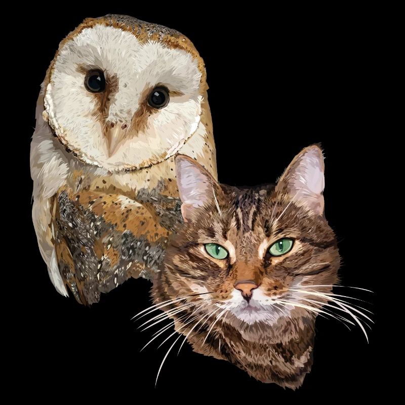 Katze und Eule