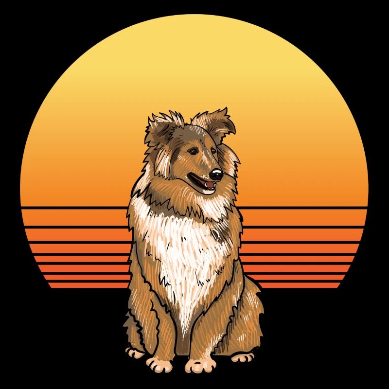 Soleil sheltie