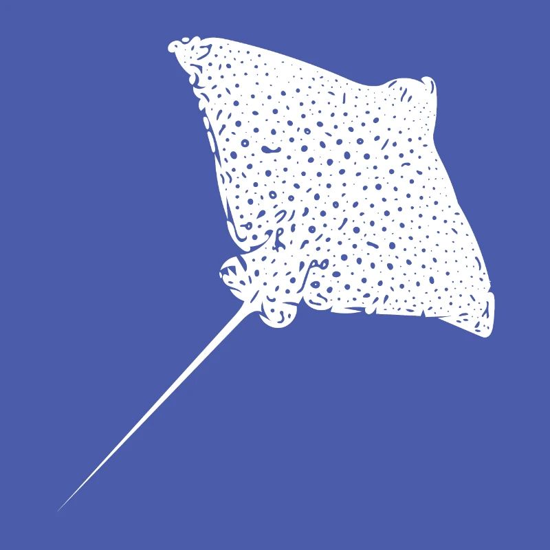 Eagle rays