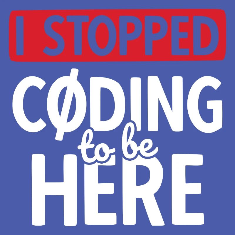 Software Ingenieur Informatiker Programmierer