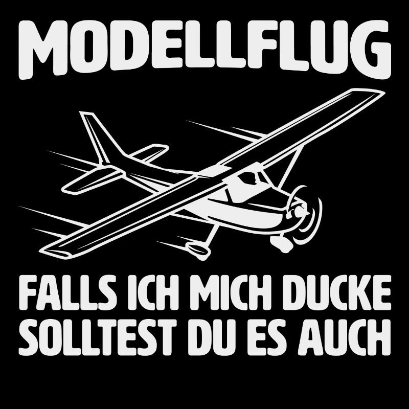 Modellflug RC Flugzeug Modellflieger