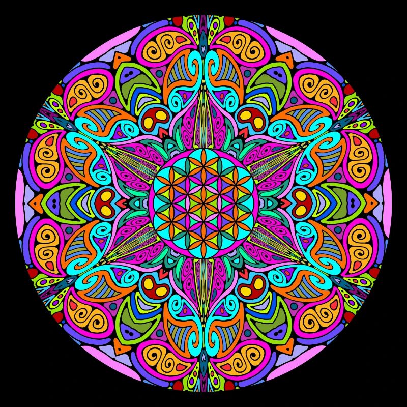 Fleur de vie dans un mandala 3