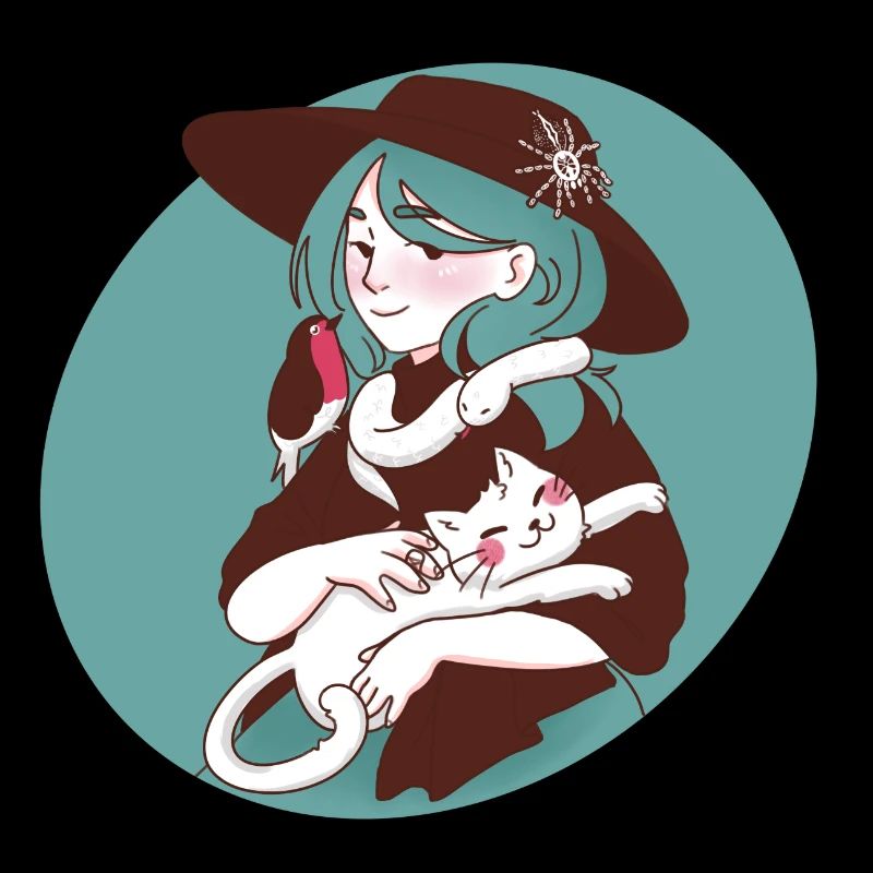 Witch with Heteroscodra Maculata / Marble Bird Spider